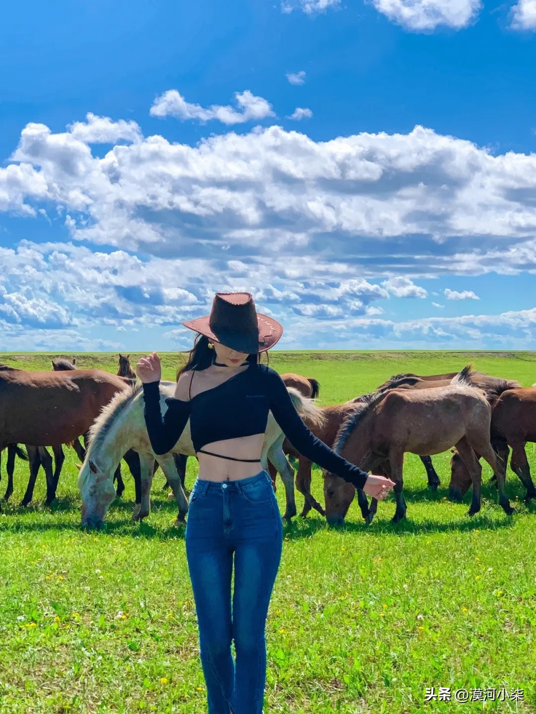 呼伦贝尔大草原超全攻略,自驾|包车|跟团,去草原一定要收藏下(图8) 呼伦贝尔大草原自由行路线_呼伦贝尔大草原旅行_呼伦贝尔大草原最佳旅行时间
