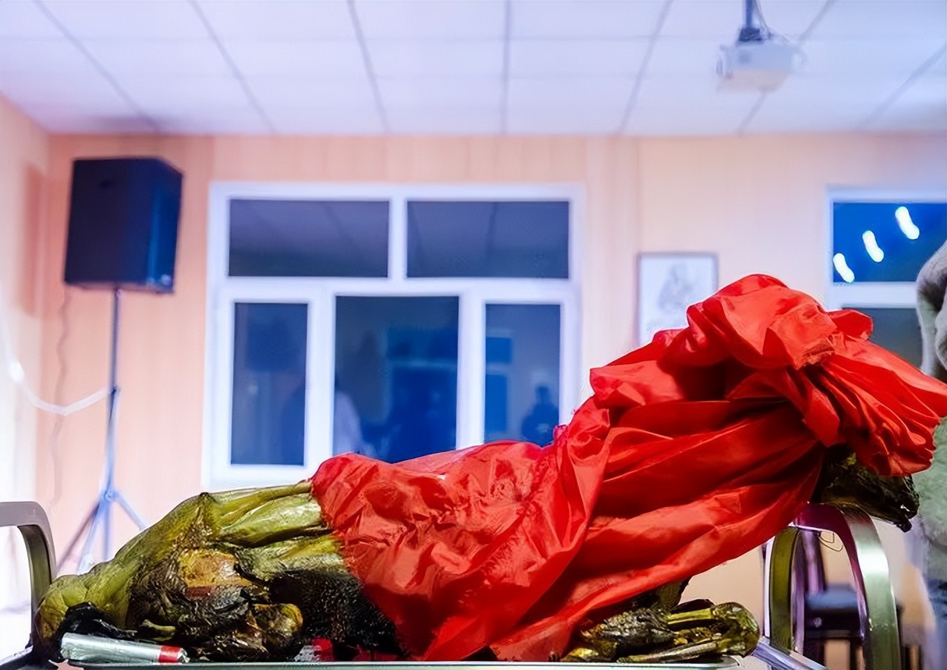 呼伦贝尔大草原旅行_呼伦贝尔大草原最佳旅行时间_呼伦贝尔大草原旅游攻略