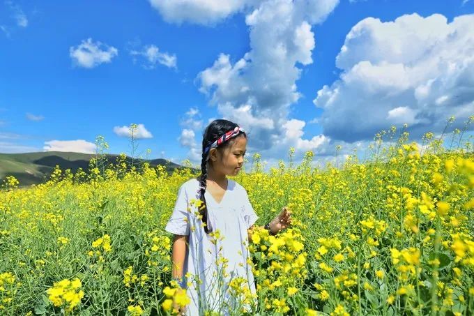 呼伦贝尔大草原旅行_呼伦贝尔大草原旅游攻略_呼伦贝尔大草原最佳旅行时间