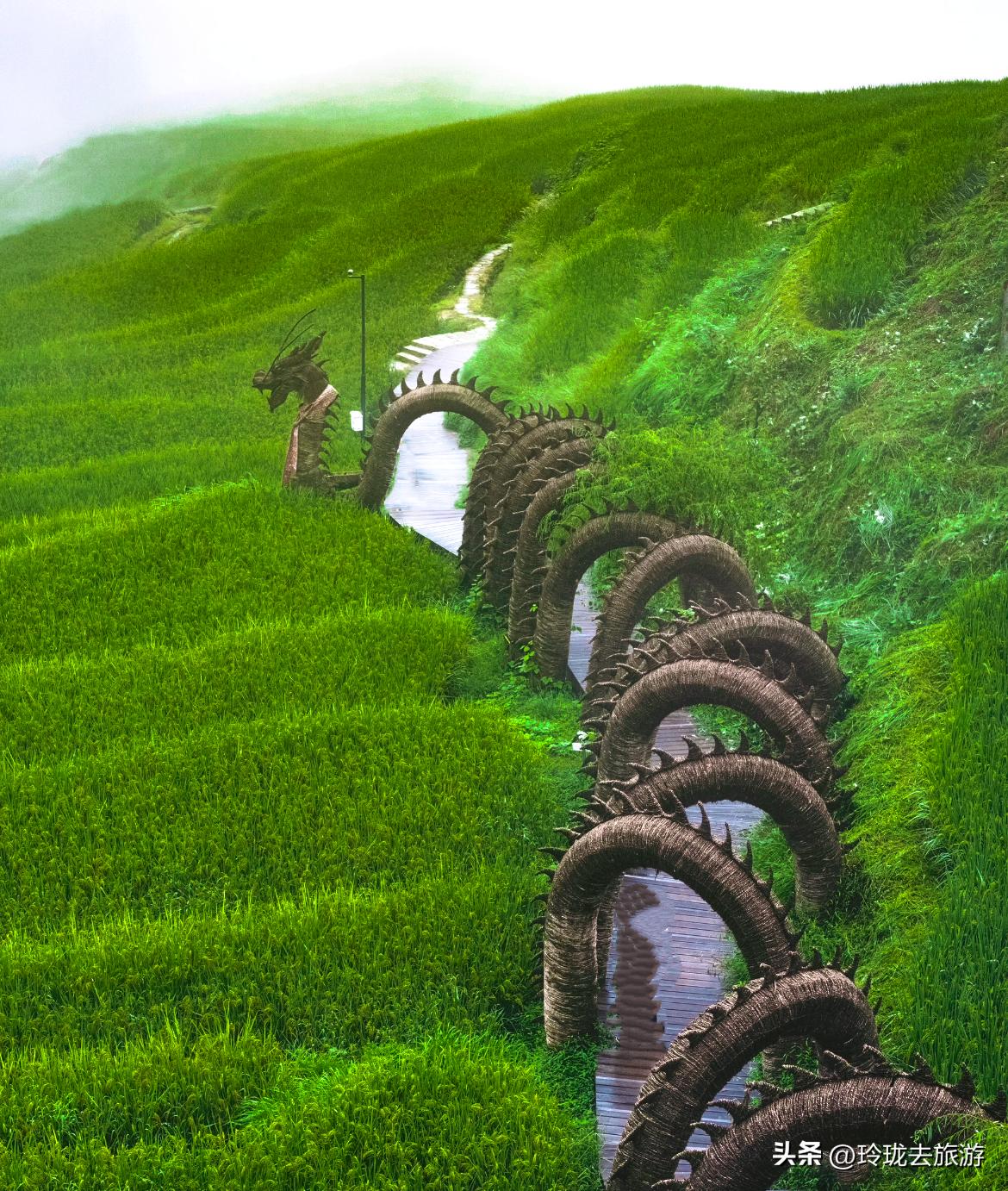 环浙江自驾攻略 | 本地人私藏路线,7天玩遍山海水城(图3) 浙江本地人私藏小众秘境攻略_浙江11城环线自驾游_楠溪江旅游自驾游攻略