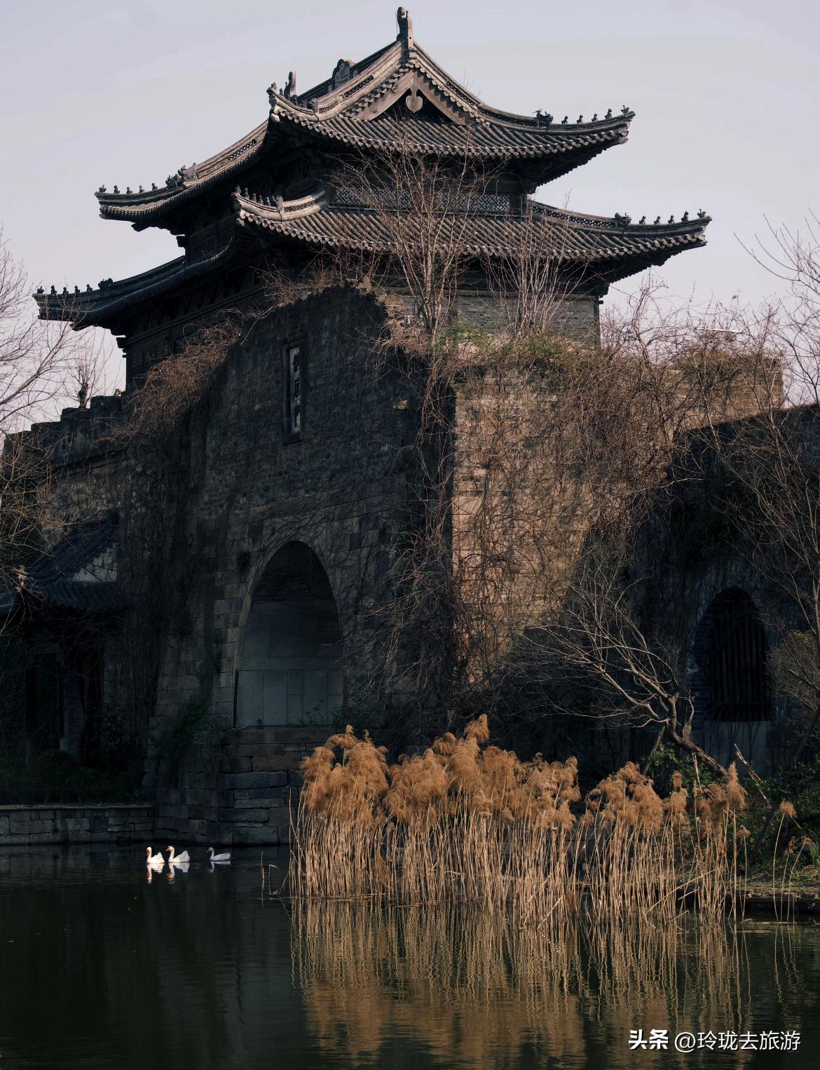 环浙江自驾攻略 | 本地人私藏路线,7天玩遍山海水城(图8) 浙江本地人私藏小众秘境攻略_浙江11城环线自驾游_楠溪江旅游自驾游攻略