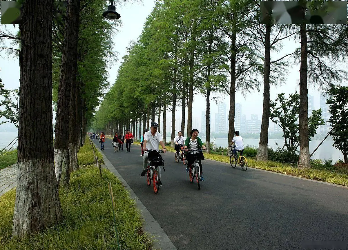 武汉东湖游玩攻略(图1) 武汉东湖游玩建议_武汉东湖深度游玩攻略_东湖绿道骑行赏花游湖攻略