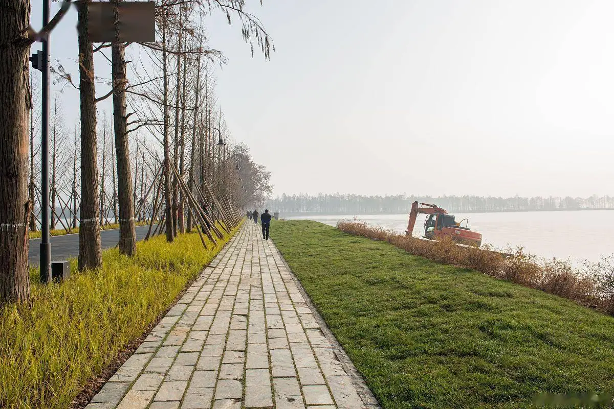 武汉东湖游玩攻略(图2) 东湖绿道骑行赏花游湖攻略_武汉东湖游玩建议_武汉东湖深度游玩攻略