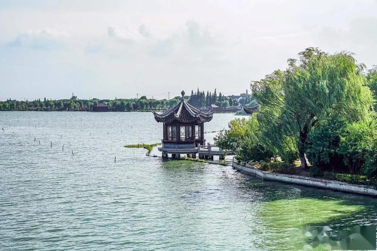 武汉东湖游玩攻略(图3) 东湖绿道骑行赏花游湖攻略_武汉东湖游玩建议_武汉东湖深度游玩攻略