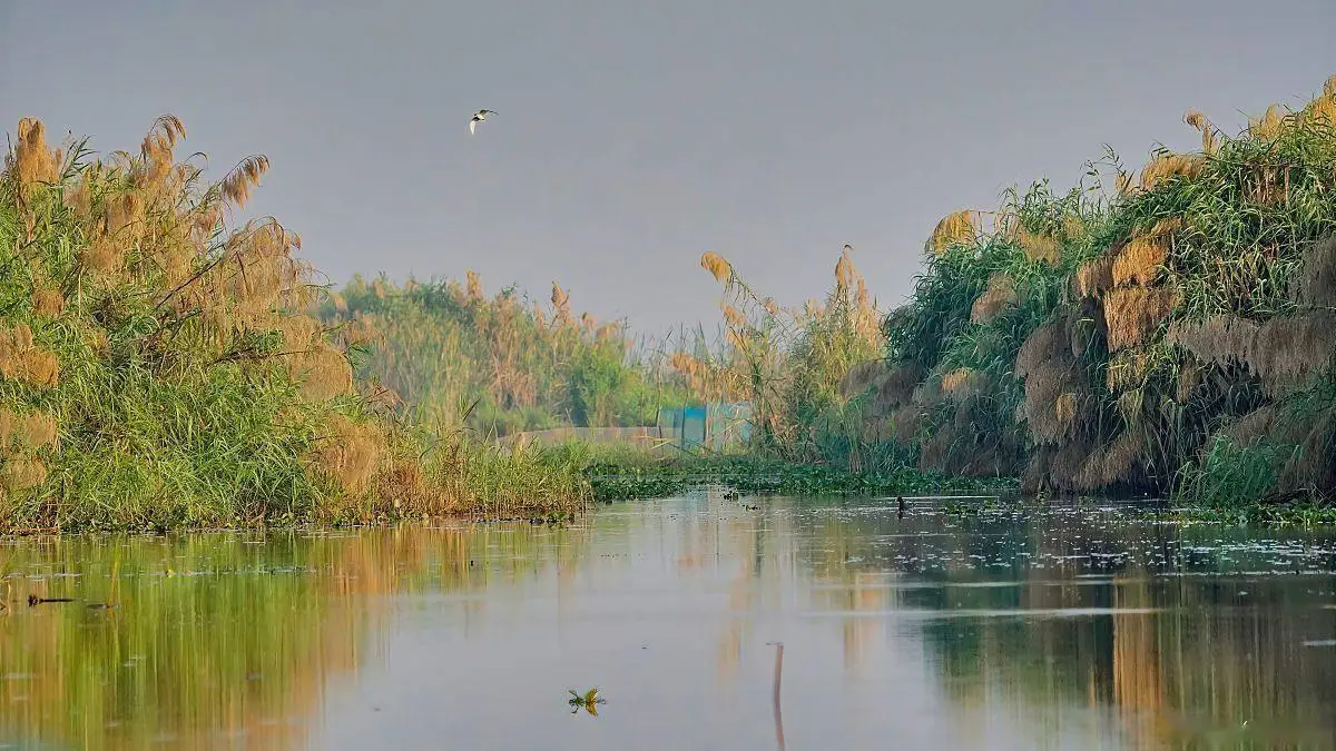 武汉东湖游玩攻略(图4) 武汉东湖游玩建议_东湖绿道骑行赏花游湖攻略_武汉东湖深度游玩攻略