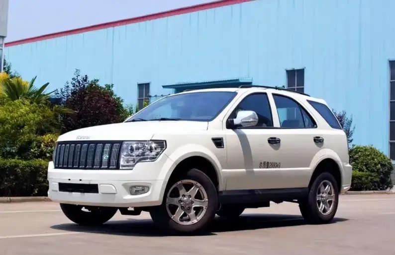 汽车市场淘汰赛_中国卖不出去新车坟场_边缘品牌生存分析