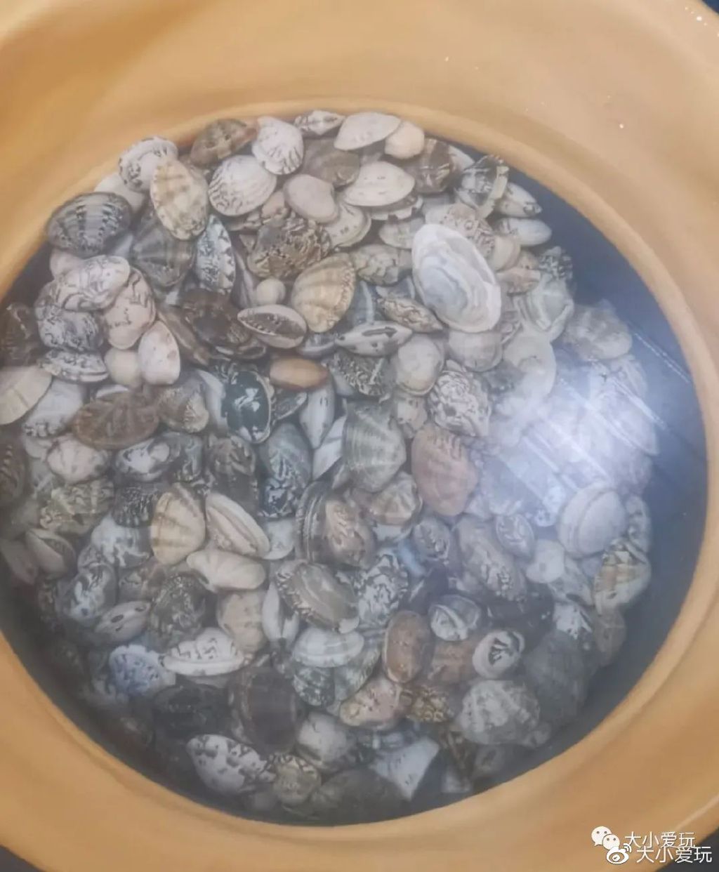 国内海边旅游城市_日照海滨旅游攻略_暑假高铁海滨城市