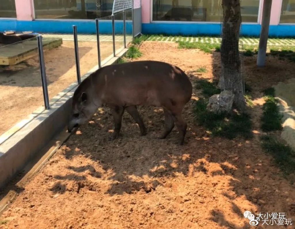 日照海滨旅游攻略_国内海边旅游城市_暑假高铁海滨城市