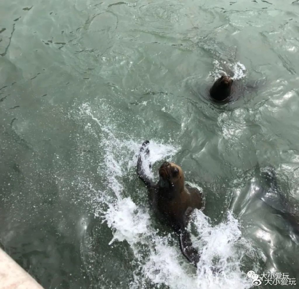 国内海边旅游城市_暑假高铁海滨城市_日照海滨旅游攻略