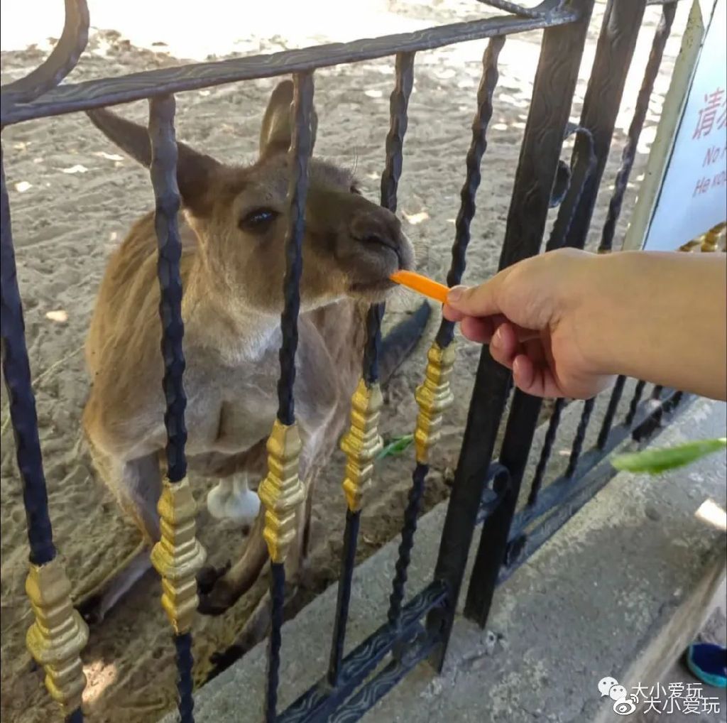 暑假高铁海滨城市_国内海边旅游城市_日照海滨旅游攻略