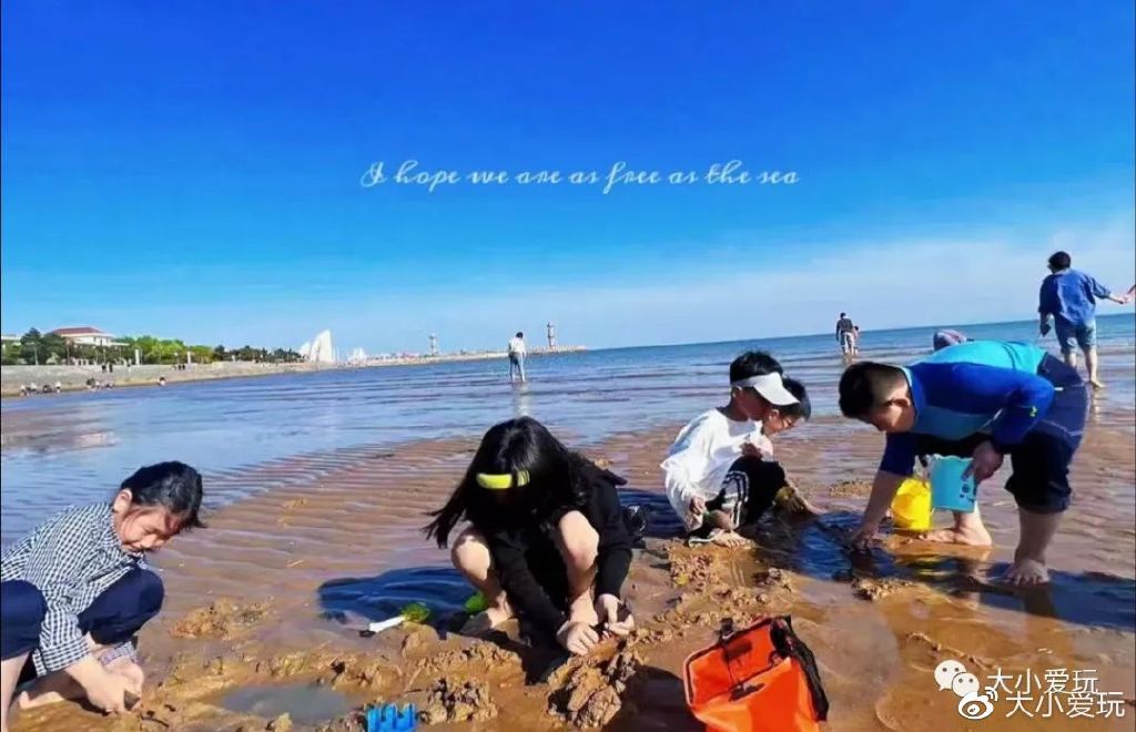 暑假高铁海滨城市_日照海滨旅游攻略_国内海边旅游城市