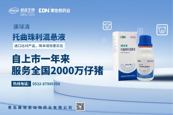 生猪养殖项目终止_猪企减产_母猪养殖成本