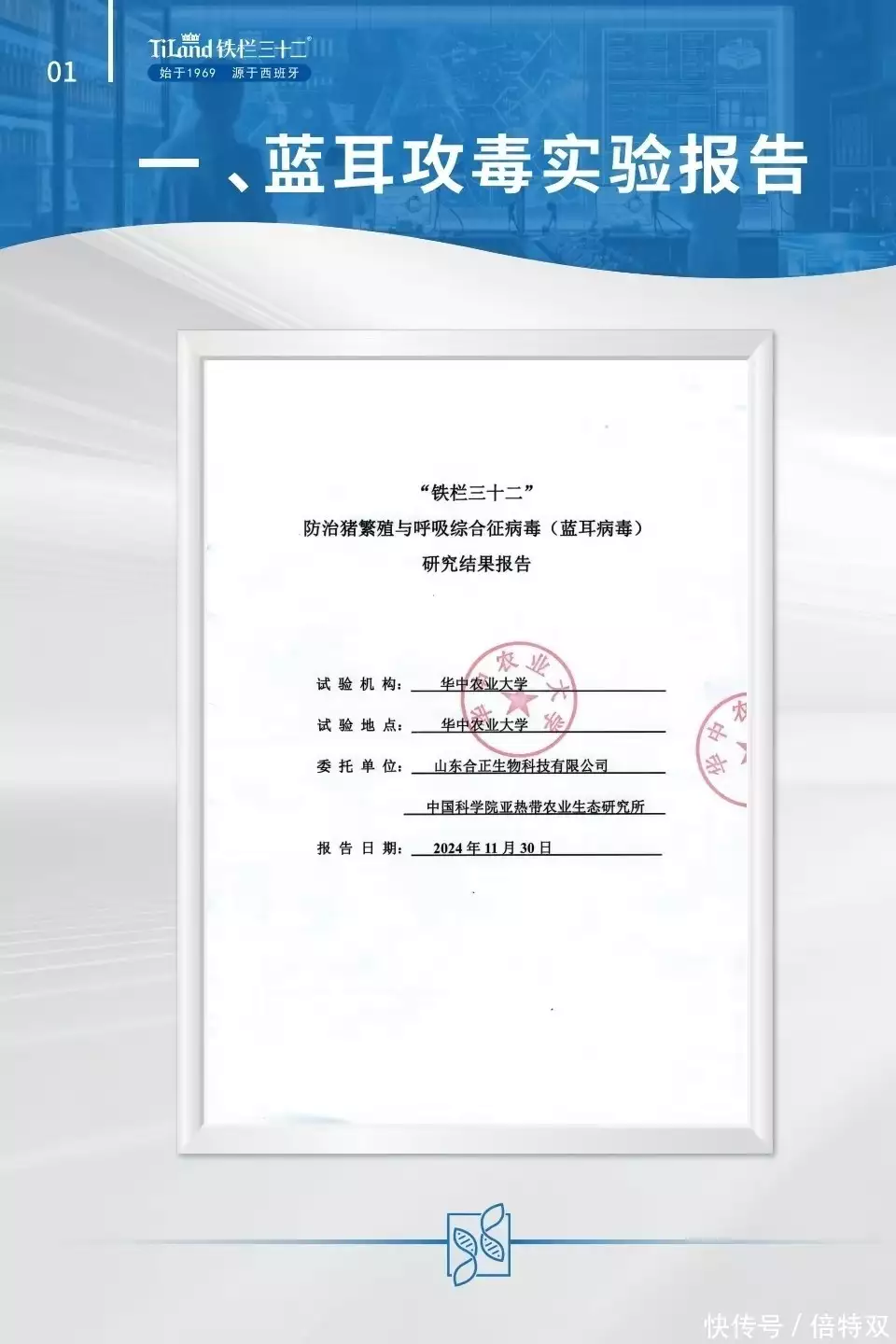 母猪养殖成本_母猪亚健康临床表现与危害_铁栏三十二母猪亚健康防控作用