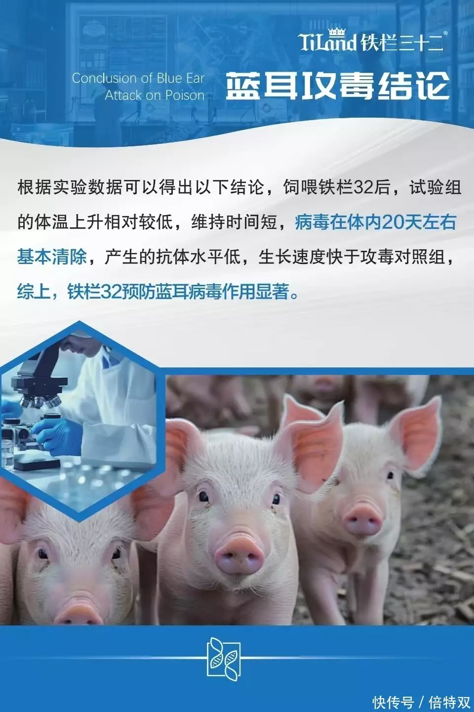 母猪养殖成本_铁栏三十二母猪亚健康防控作用_母猪亚健康临床表现与危害