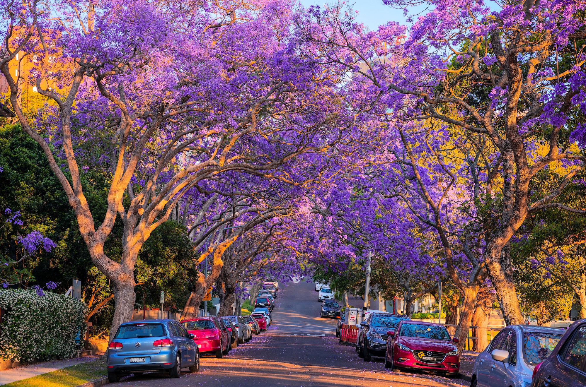 去欧洲旅游线路_德国工业文化主题旅游线路_德国世界文化遗产之旅