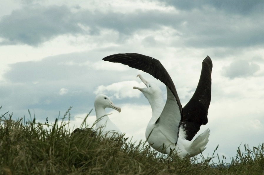 德国工业文化主题旅游线路_去欧洲旅游线路_德国世界文化遗产之旅