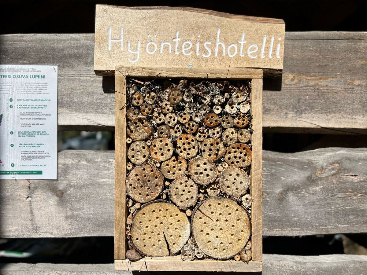 去欧洲旅游线路_德国世界文化遗产之旅_德国工业文化主题旅游线路