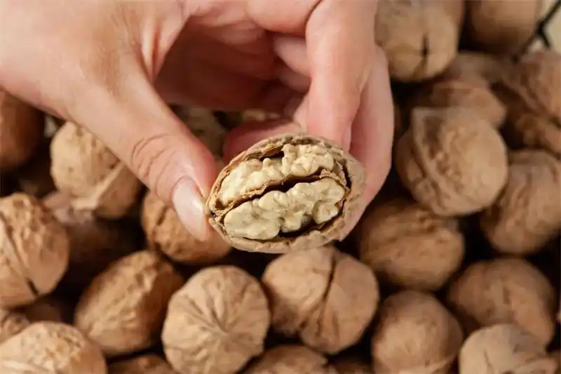 云礼|互换特产!云南这些土特产,都是“香饽饽”(图11) 云南特产交换_墨江紫米景东核桃孟连牛油果_云南特产零食有哪些