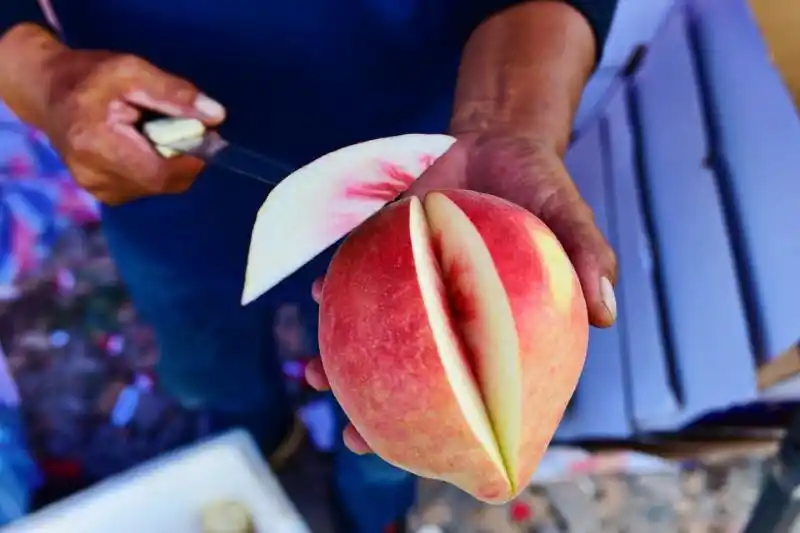 云礼|互换特产!云南这些土特产,都是“香饽饽”(图13) 云南特产零食有哪些_云南特产交换_墨江紫米景东核桃孟连牛油果