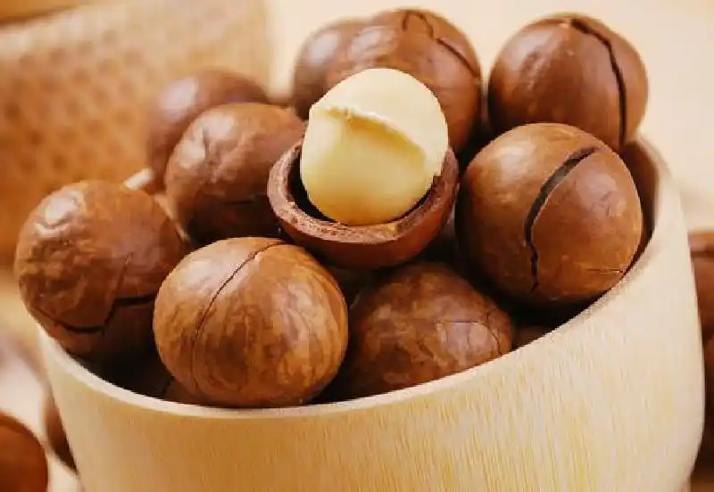 云礼|互换特产!云南这些土特产,都是“香饽饽”(图15) 云南特产零食有哪些_云南特产交换_墨江紫米景东核桃孟连牛油果