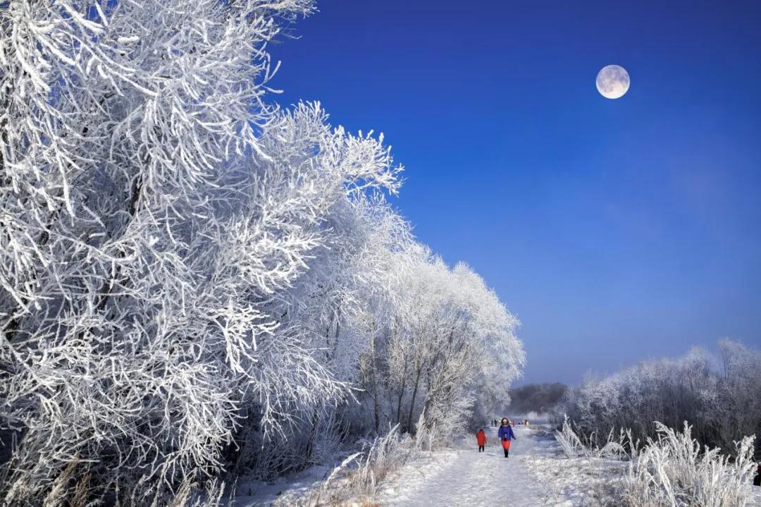 五大连池冬季旅游攻略_五大连池矿泉鱼_五大连池矿泉豆腐