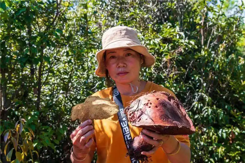 跟着好礼游云南 这些特产你知道几个?(图17) 云南特产鲜花饼_云南特产零食有哪些_云南宜良烤鸭