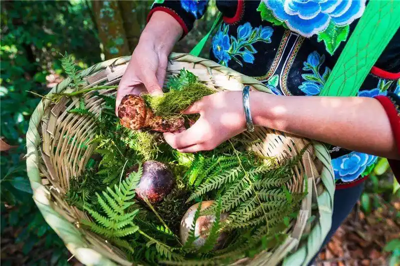 跟着好礼游云南 这些特产你知道几个?(图18) 云南特产零食有哪些_云南宜良烤鸭_云南特产鲜花饼