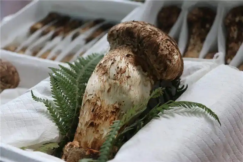 跟着好礼游云南 这些特产你知道几个?(图39) 云南宜良烤鸭_云南特产零食有哪些_云南特产鲜花饼