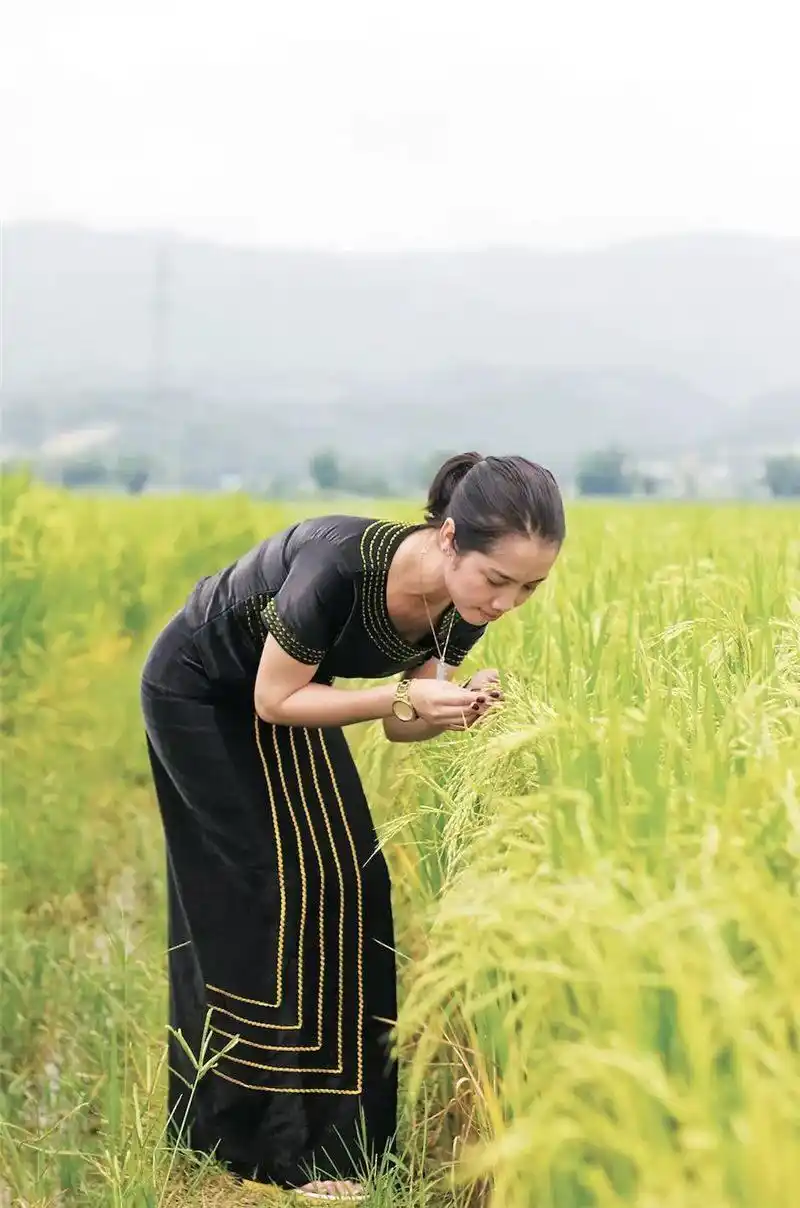 跟着好礼游云南 这些特产你知道几个?(图52) 云南宜良烤鸭_云南特产零食有哪些_云南特产鲜花饼