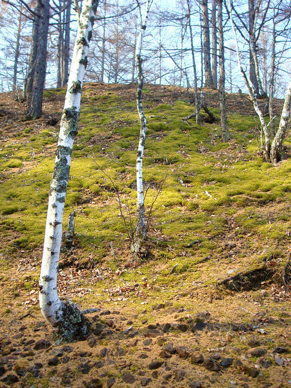 齐齐哈尔讷河五大连池一日游_五大连池火山地质地貌景观_五大连池冬季旅游攻略
