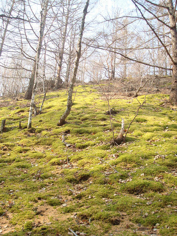 五大连池冬季旅游攻略_齐齐哈尔讷河五大连池一日游_五大连池火山地质地貌景观