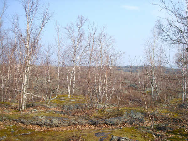 五大连池火山地质地貌景观_五大连池冬季旅游攻略_齐齐哈尔讷河五大连池一日游