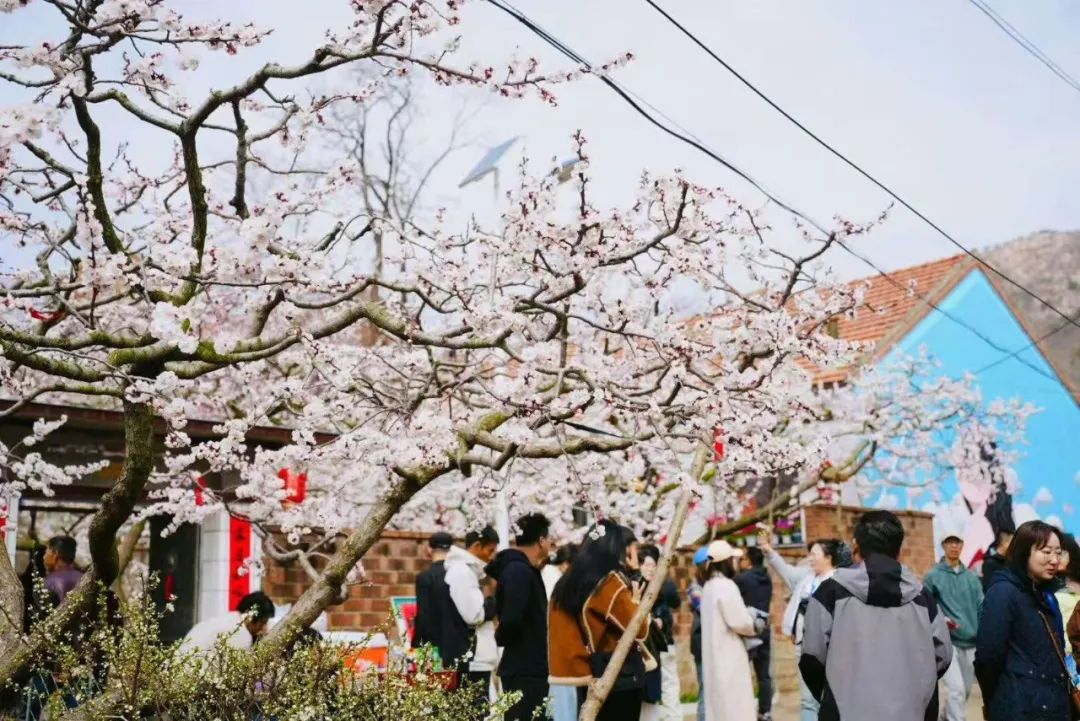 震撼!网络达人点赞丹东振兴新图景(图8) 黄海水产品批发市场 北纬39度 海鲜王国_鸭绿江口湿地 世界自然遗产地 观鸟胜地_丹东东港海鲜批发市场