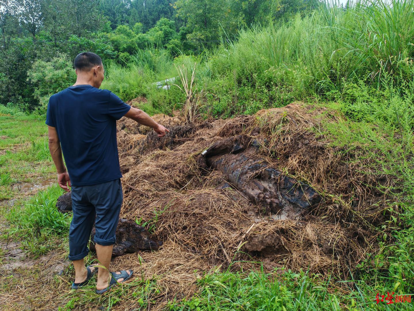 四川南部县乌木纠纷_村民阻止乌木外运_彭州乌木案结果赔了多少钱
