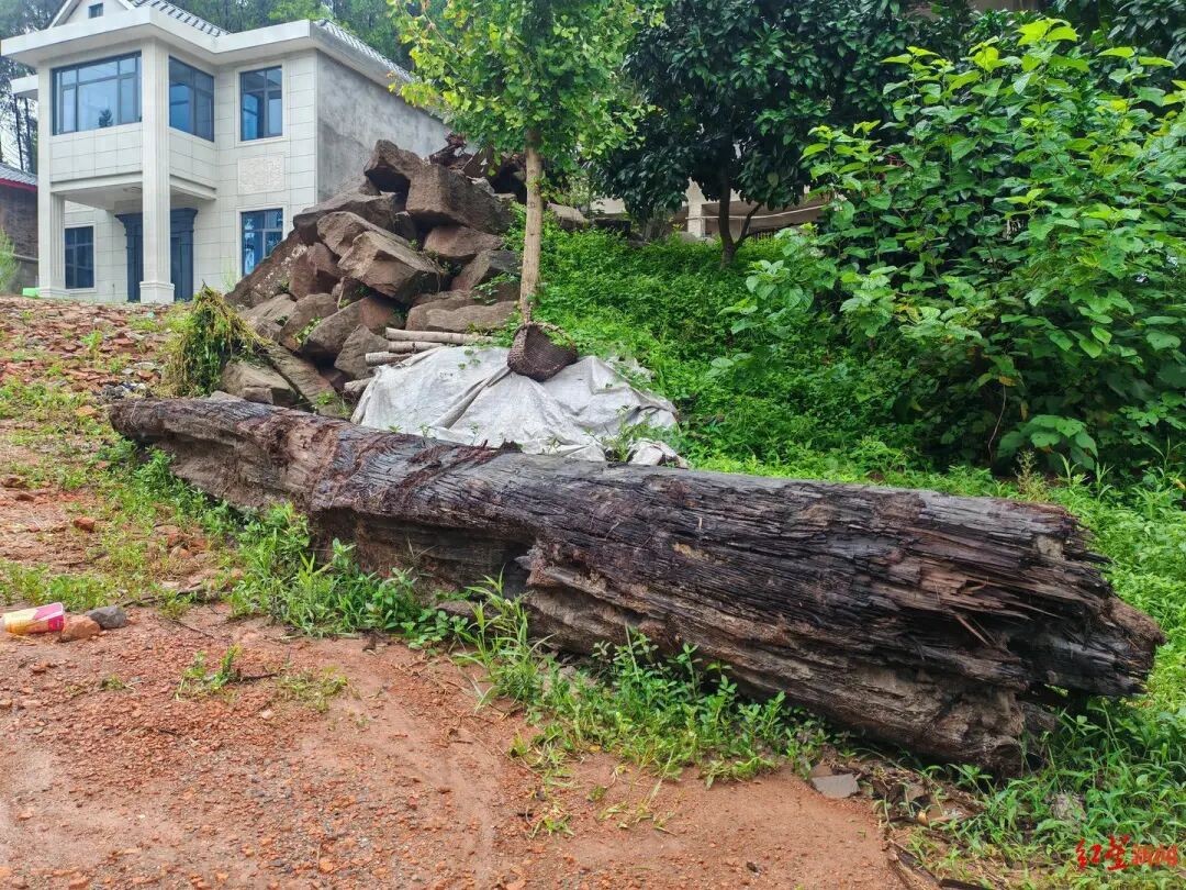 村民阻止挖掘机运走疑似乌木_四川南部县乌木纠纷_彭州乌木案结果赔了多少钱
