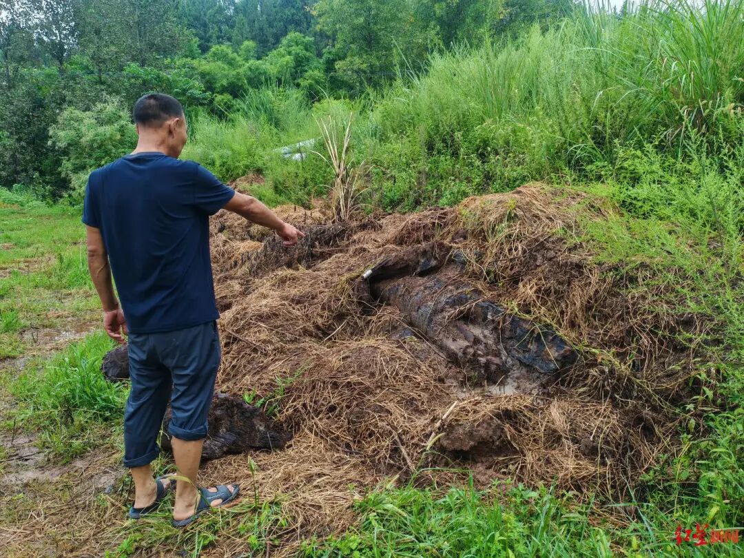 四川南部县乌木纠纷_彭州乌木案结果赔了多少钱_村民阻止挖掘机运走疑似乌木