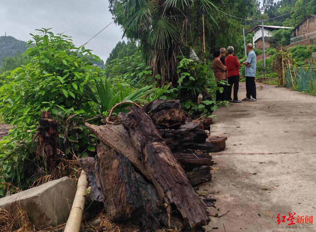 村民阻止挖掘机运走疑似乌木_四川南部县乌木纠纷_彭州乌木案结果赔了多少钱