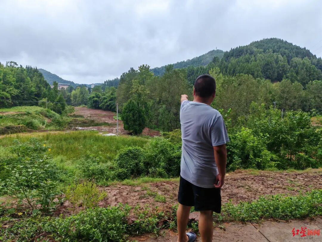 彭州乌木案结果赔了多少钱_四川南部县乌木纠纷_村民阻止挖掘机运走疑似乌木