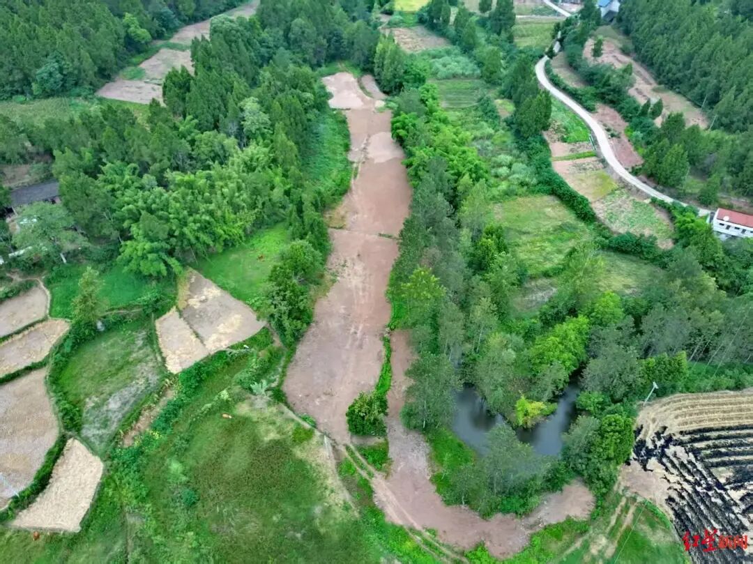 村民阻止挖掘机运走疑似乌木_彭州乌木案结果赔了多少钱_四川南部县乌木纠纷