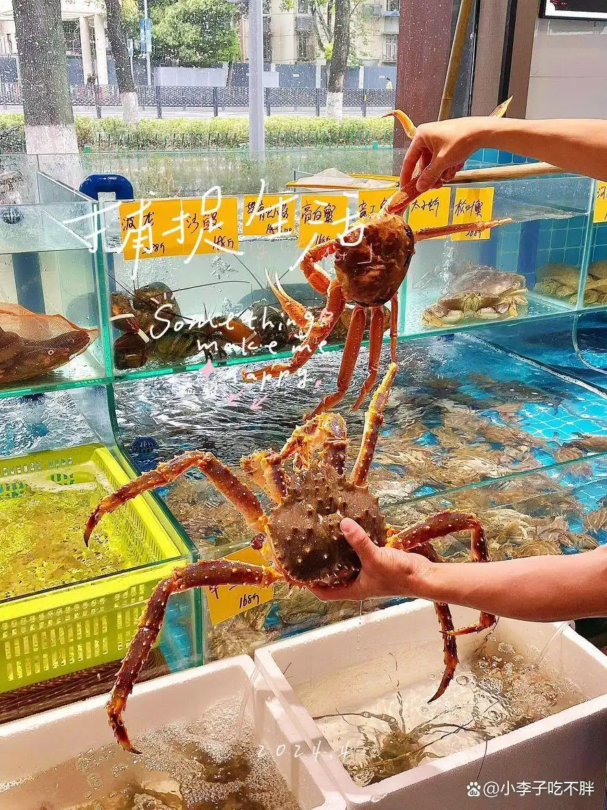 宁波的海鲜天堂——沈家门海鲜渔港(图2) 宁波沈家门海鲜渔港_沈家门海鲜渔港推荐_宁波舟山海鲜