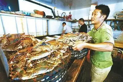 透骨新鲜的白蟹,吃了吗?宁波路林市场日销售海鲜超300吨(图1) 宁波舟山海鲜_宁波路林市场海鲜交易量_宁波路林市场梭子蟹价格