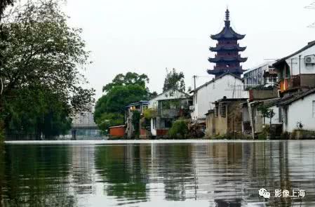 上海这十个古镇的特色美食,没吃过的请举手!(图39) 上海古镇小吃攻略_豫园老街小吃_古镇美食推荐