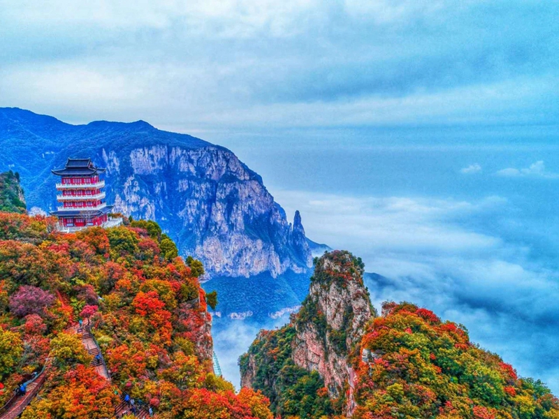 观云海，赏红叶，邂逅王维诗里的云台山。段超摄