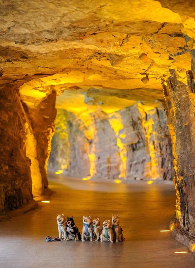 “绝壁长廊”郭亮村,当地人都说不宰客了,你们怎么还不来玩?(图7) 新乡郭亮村景区门票_郭亮村挂壁公路_太行山郭亮村旅游攻略