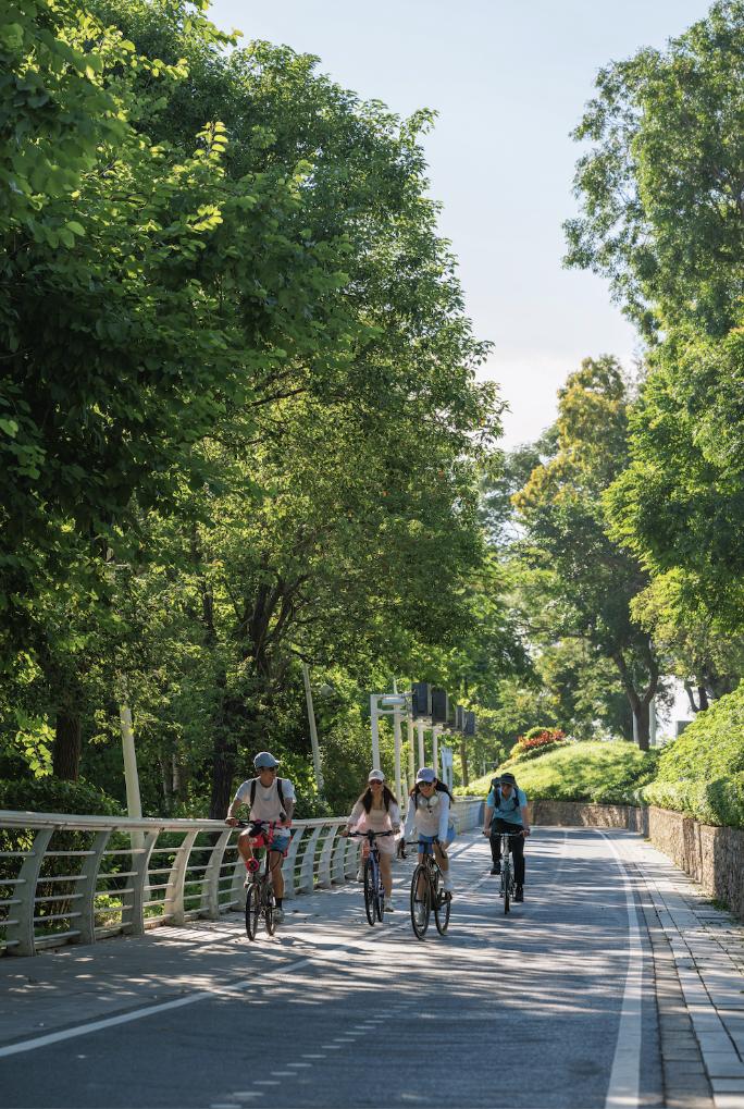 山海“骑”遇大湾区(图4) 深圳休闲骑行道_深圳 武汉 自行车_山海连城骑行体验