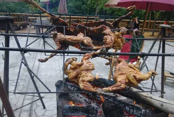 绵阳北川境内露营_绵阳安州区露营_野炊露营门票