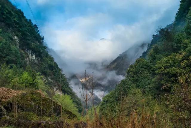 绵阳安州区露营_野炊露营门票_绵阳北川境内露营