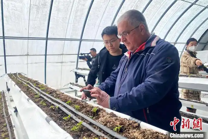 大棚里的“洋专家”(图1) 德国农业专家诺伯特_宁夏草莓种植技术_大棚种植草莓技术