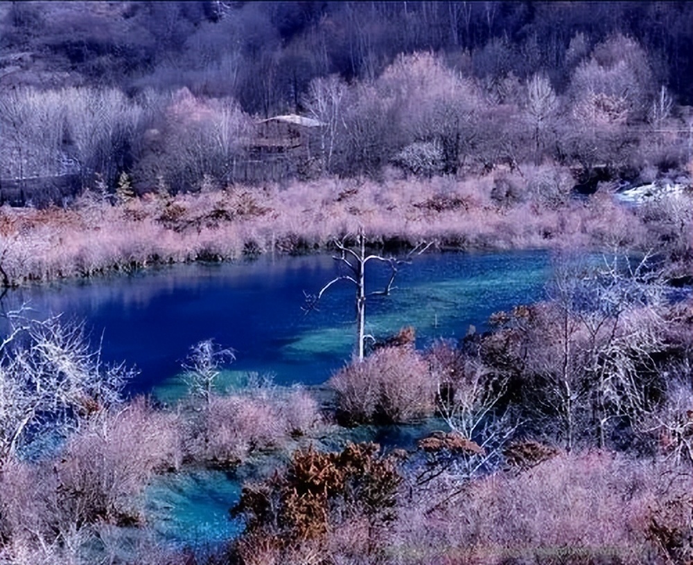 九寨沟5A景区旅游攻略_九寨沟地震后重建景点_九寨沟旅游线路设计