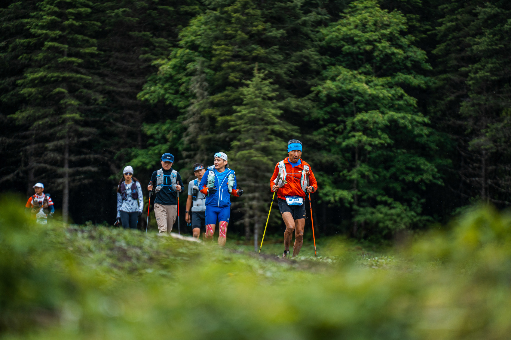 九寨沟外籍游客接待量_九寨沟旅游线路设计_九寨沟国际生态文化旅游季活动